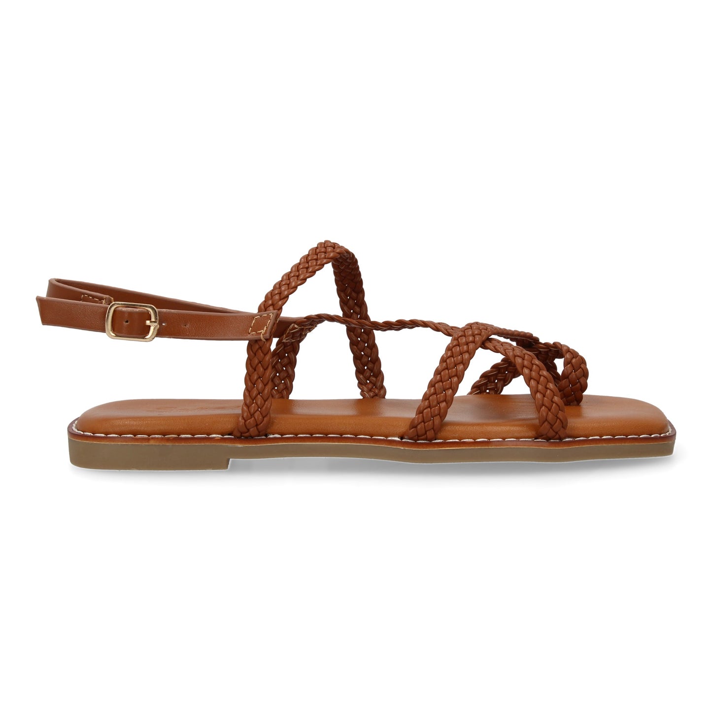 JIMENA Camel