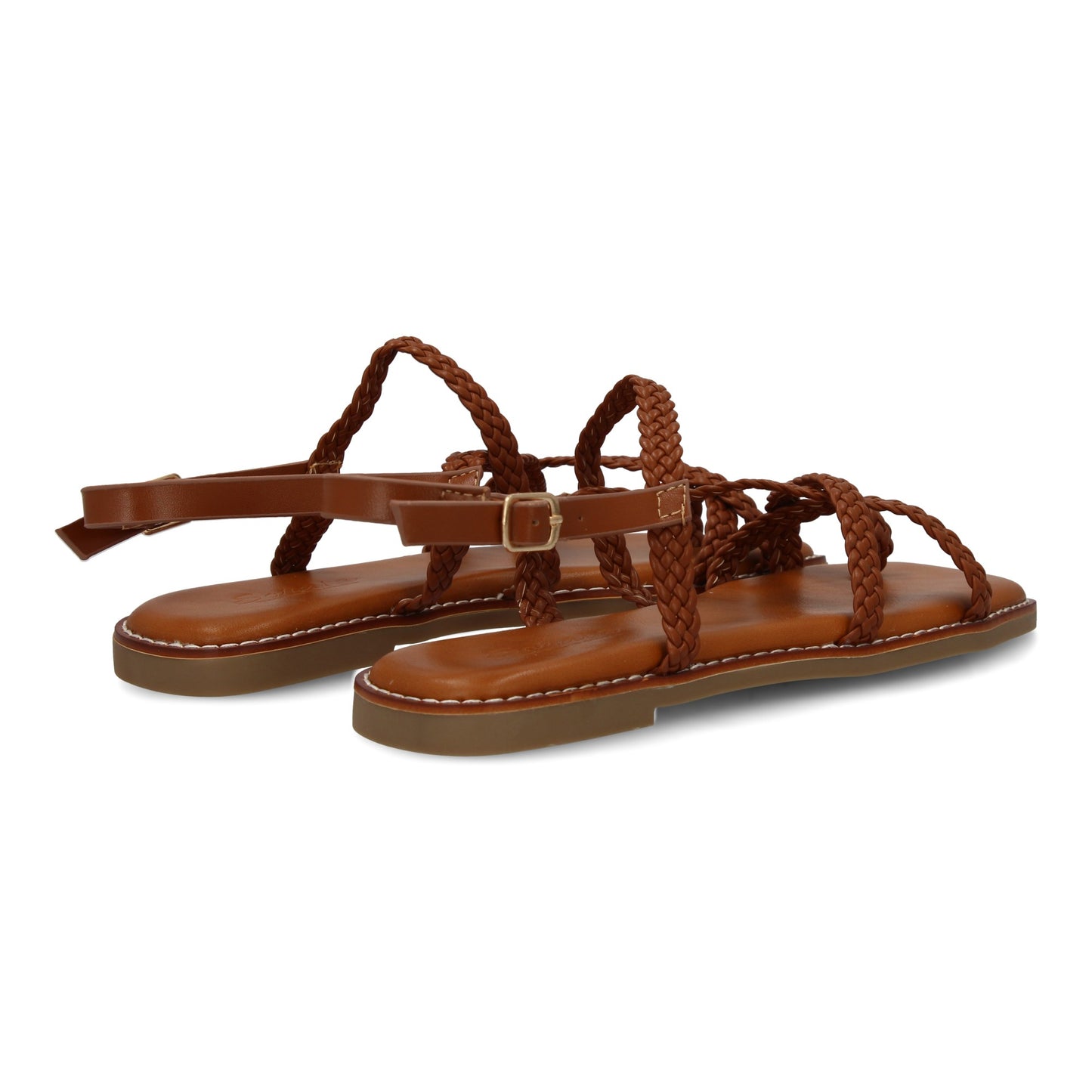 JIMENA Camel