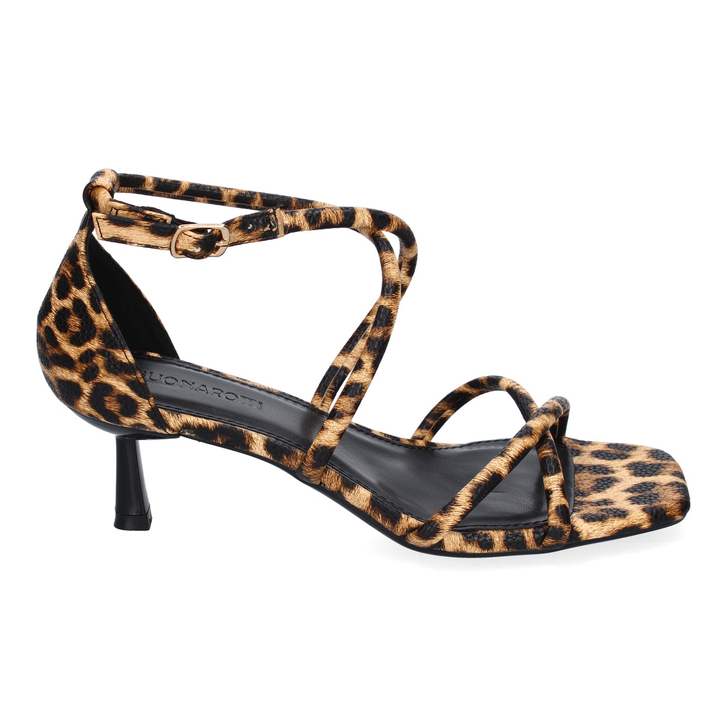 RODIN Leopardo