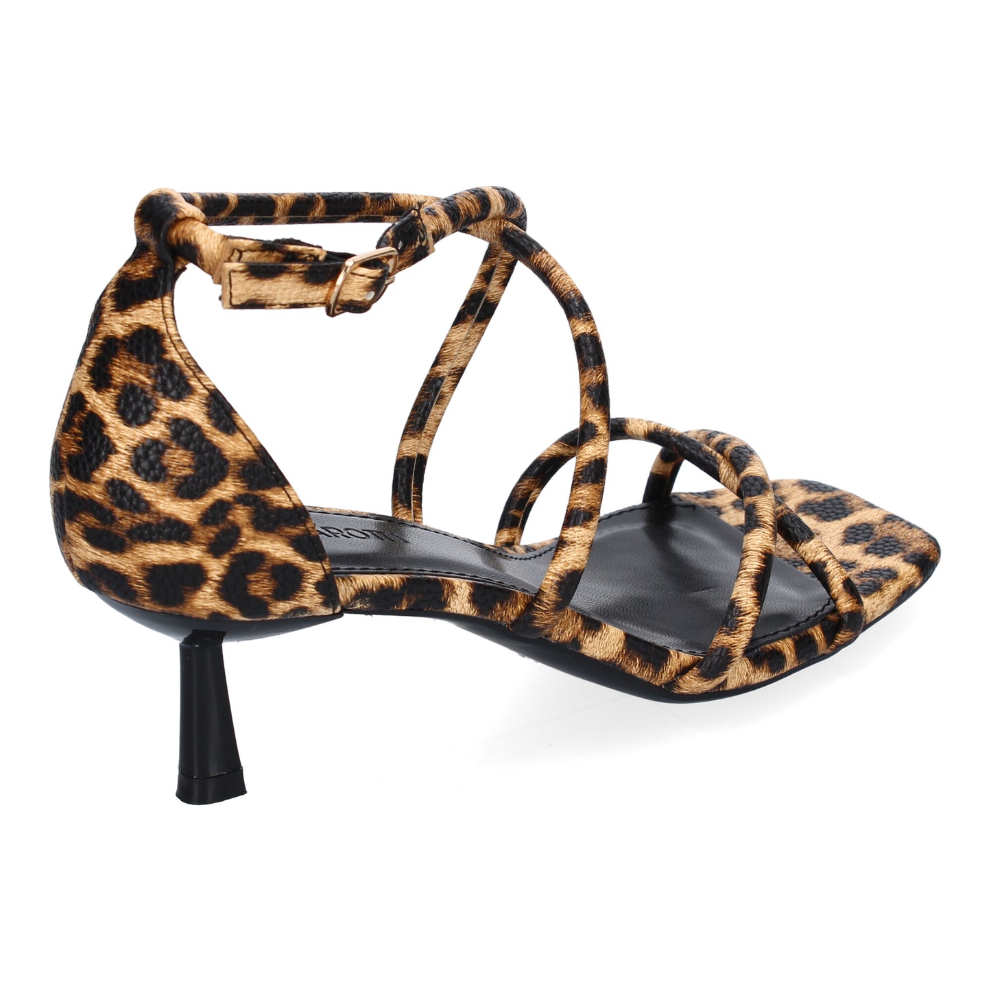 RODIN Leopardo