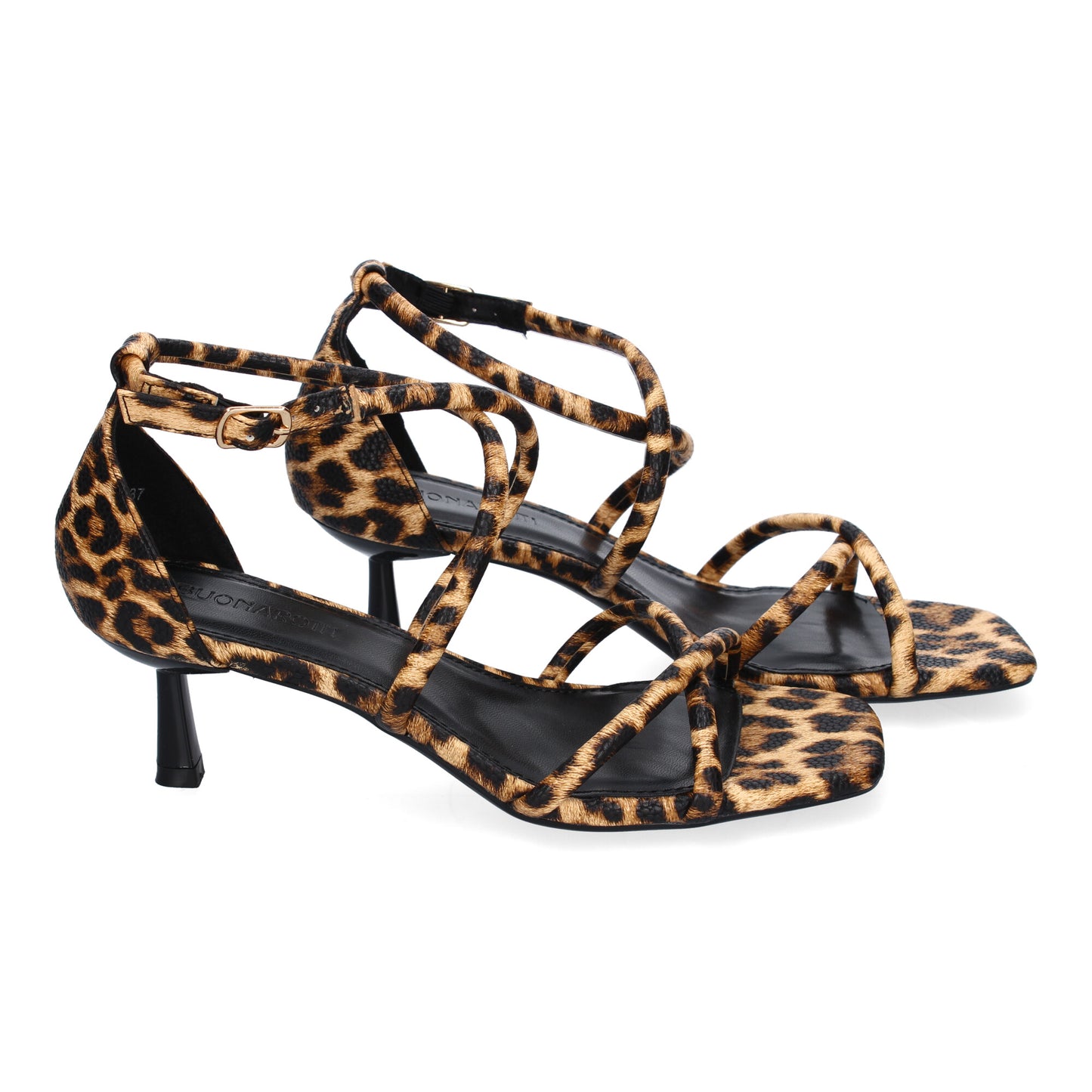 RODIN Leopardo
