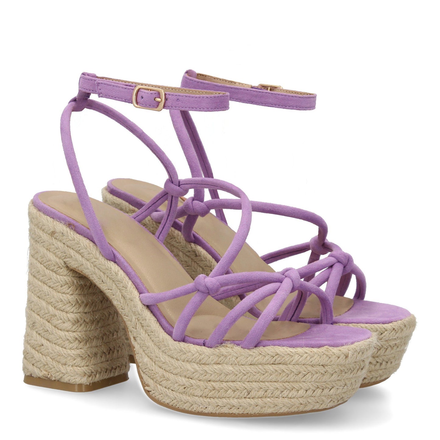 POINTER Lila