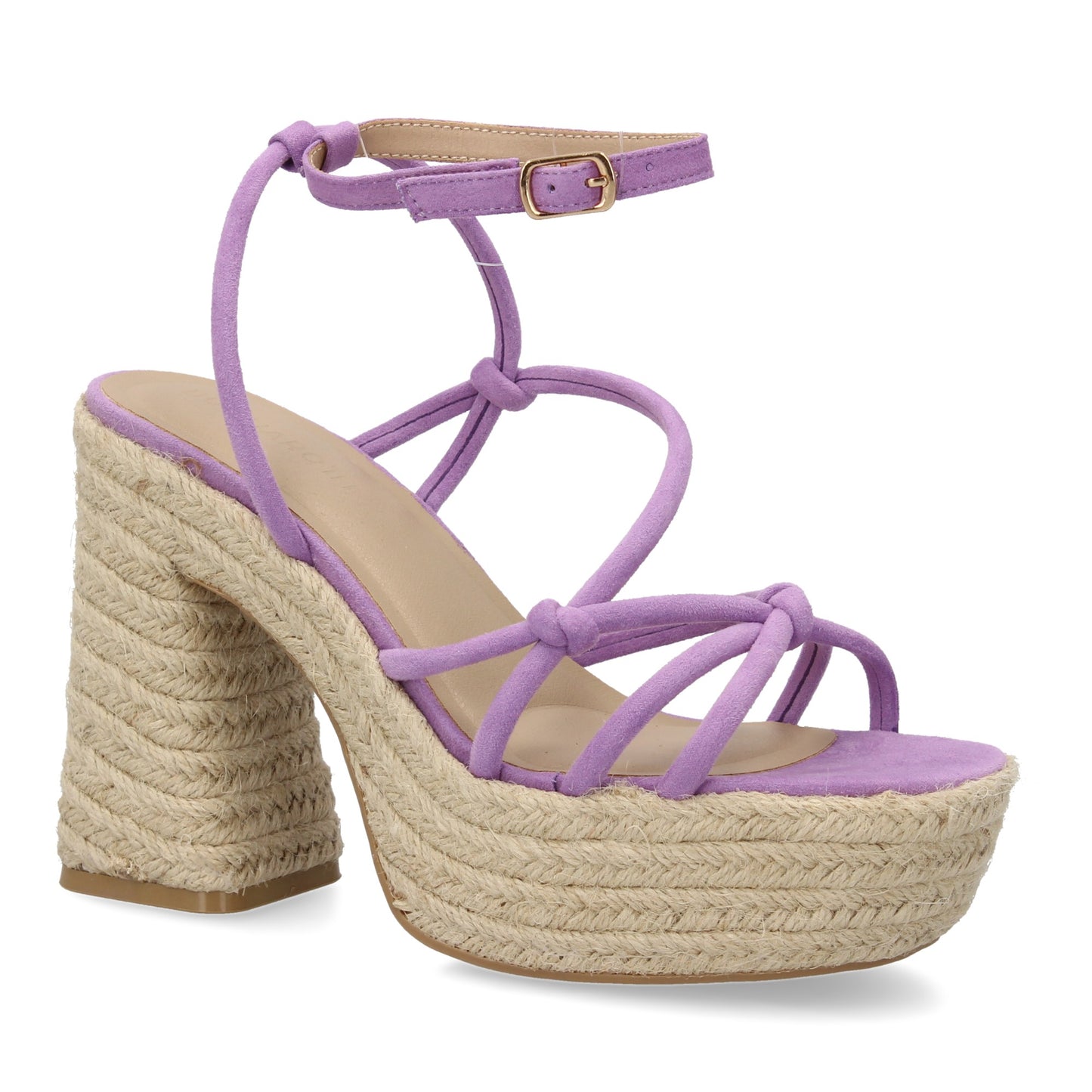 POINTER Lila