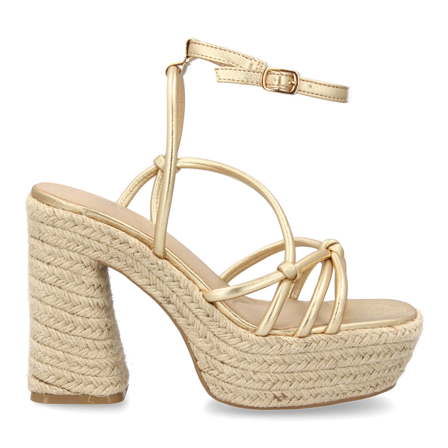 POINTER Oro