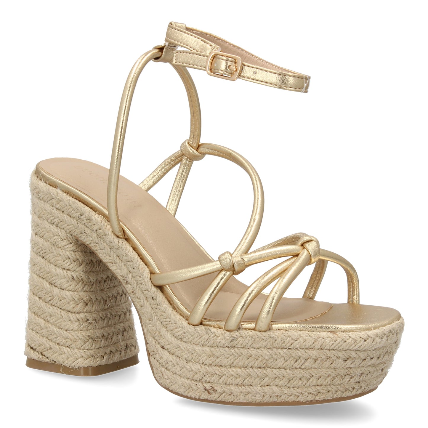 POINTER Oro