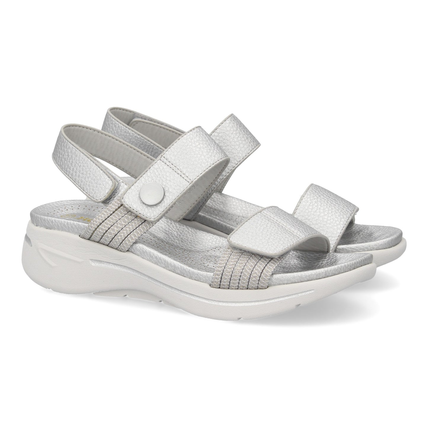 TREND Plata