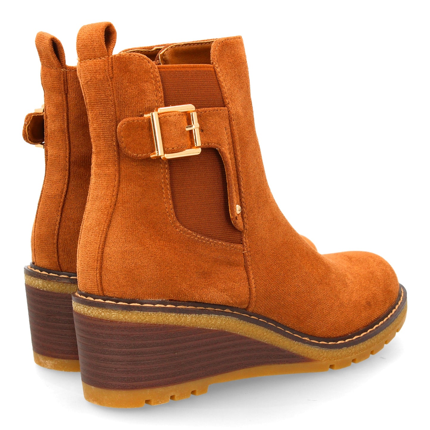 ARINA Camel