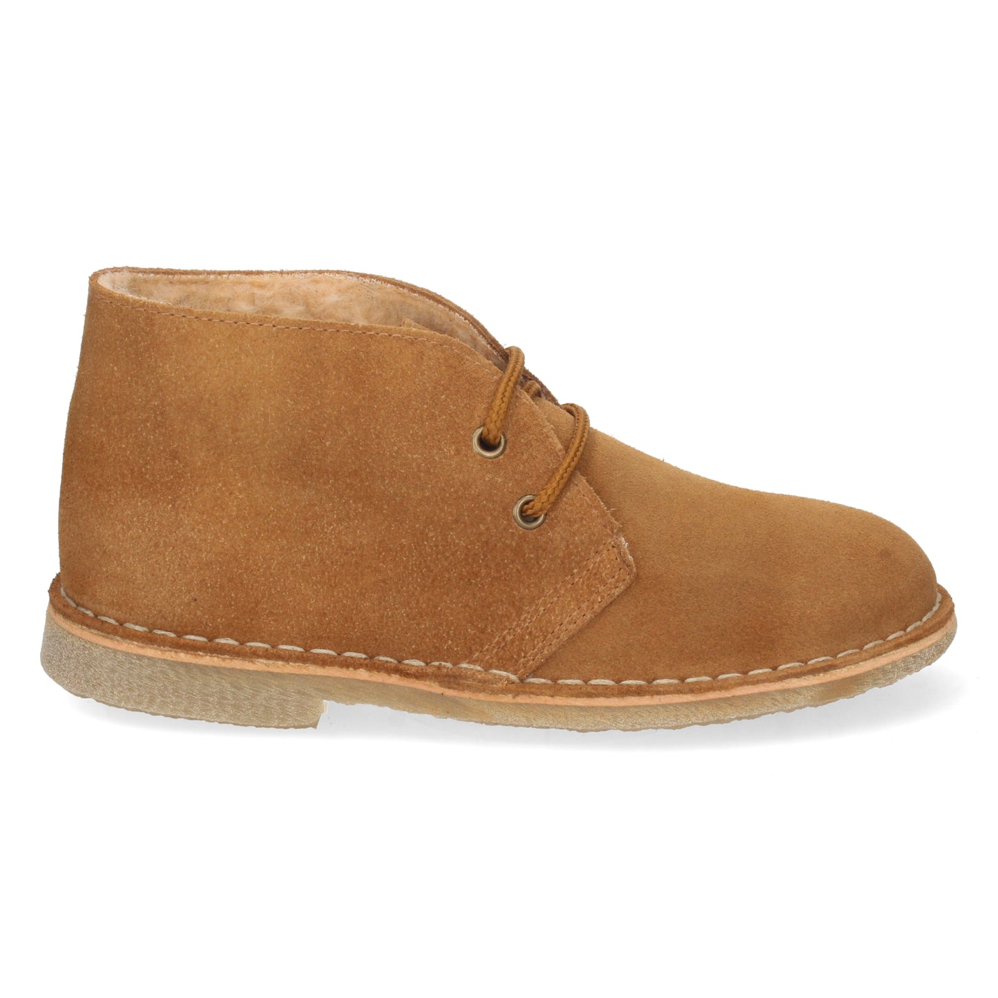IBON Camel