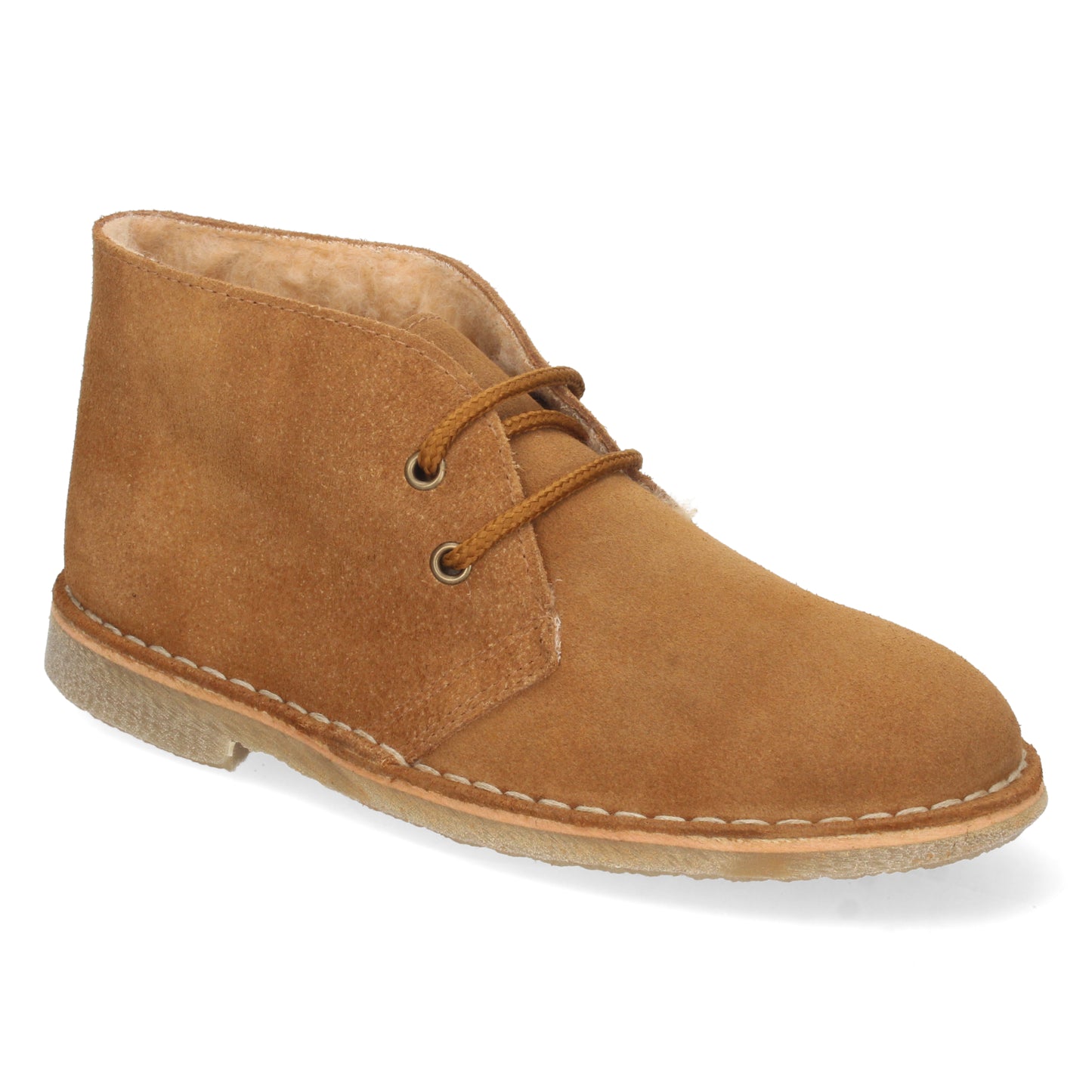 IBON Camel