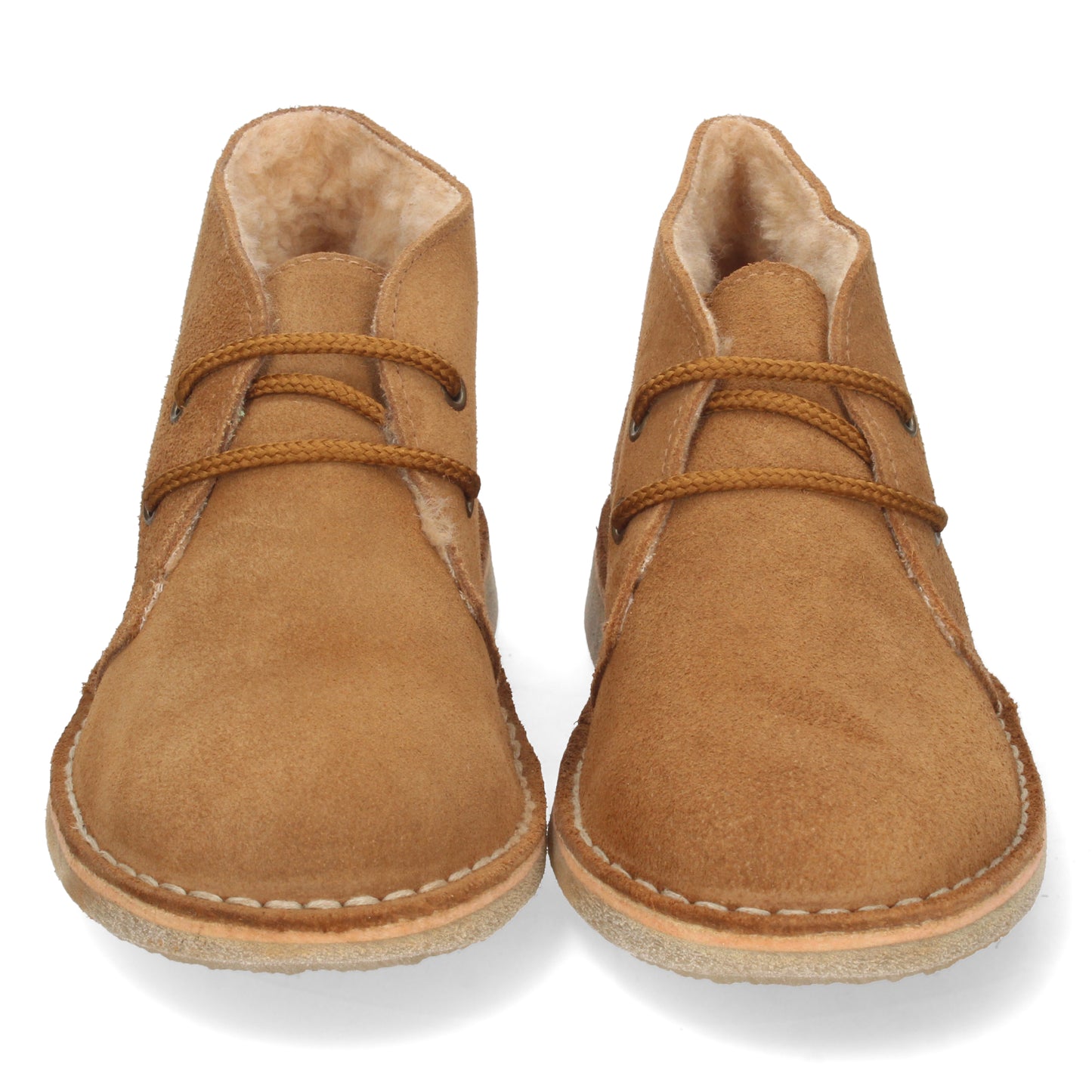 IBON Camel