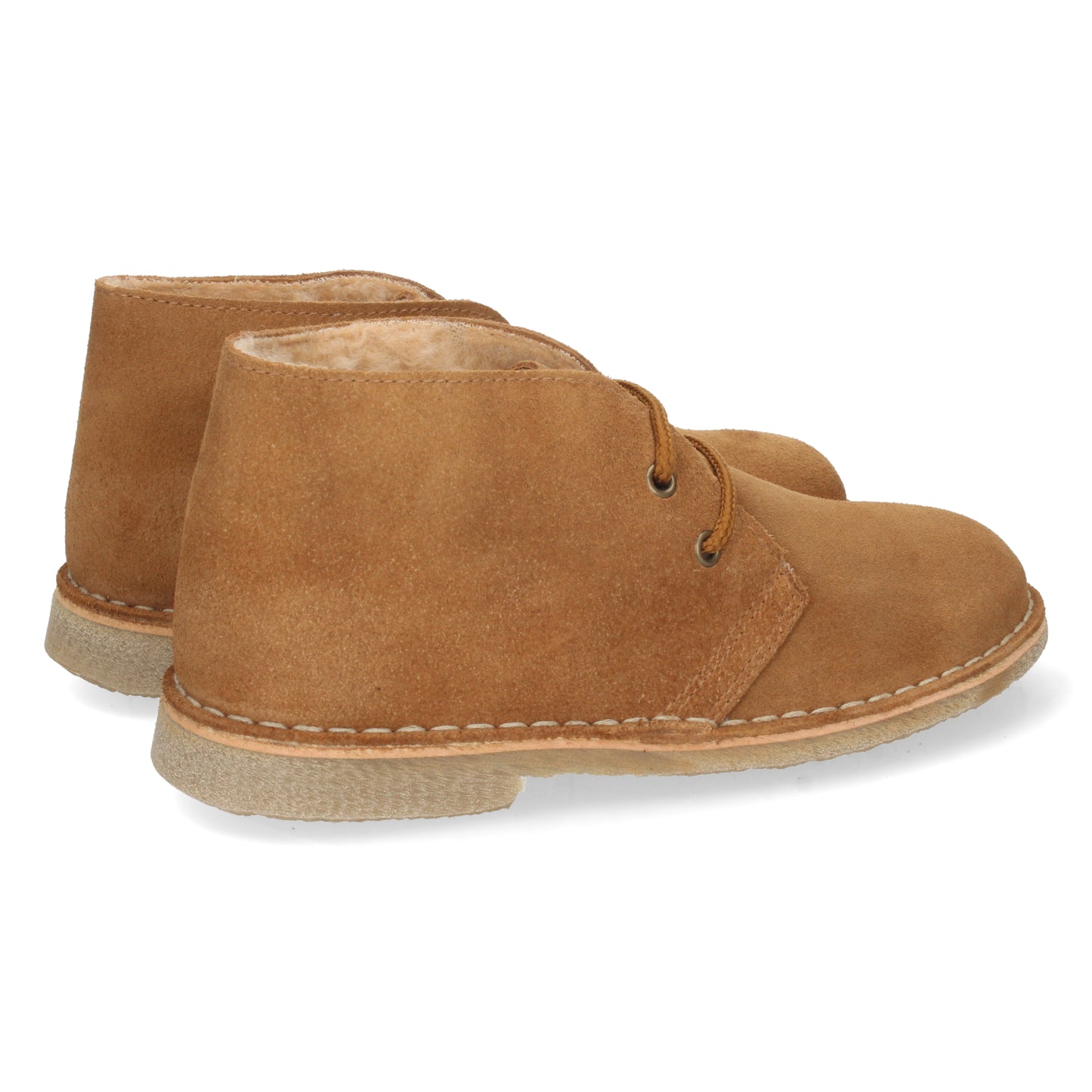 IBON Camel