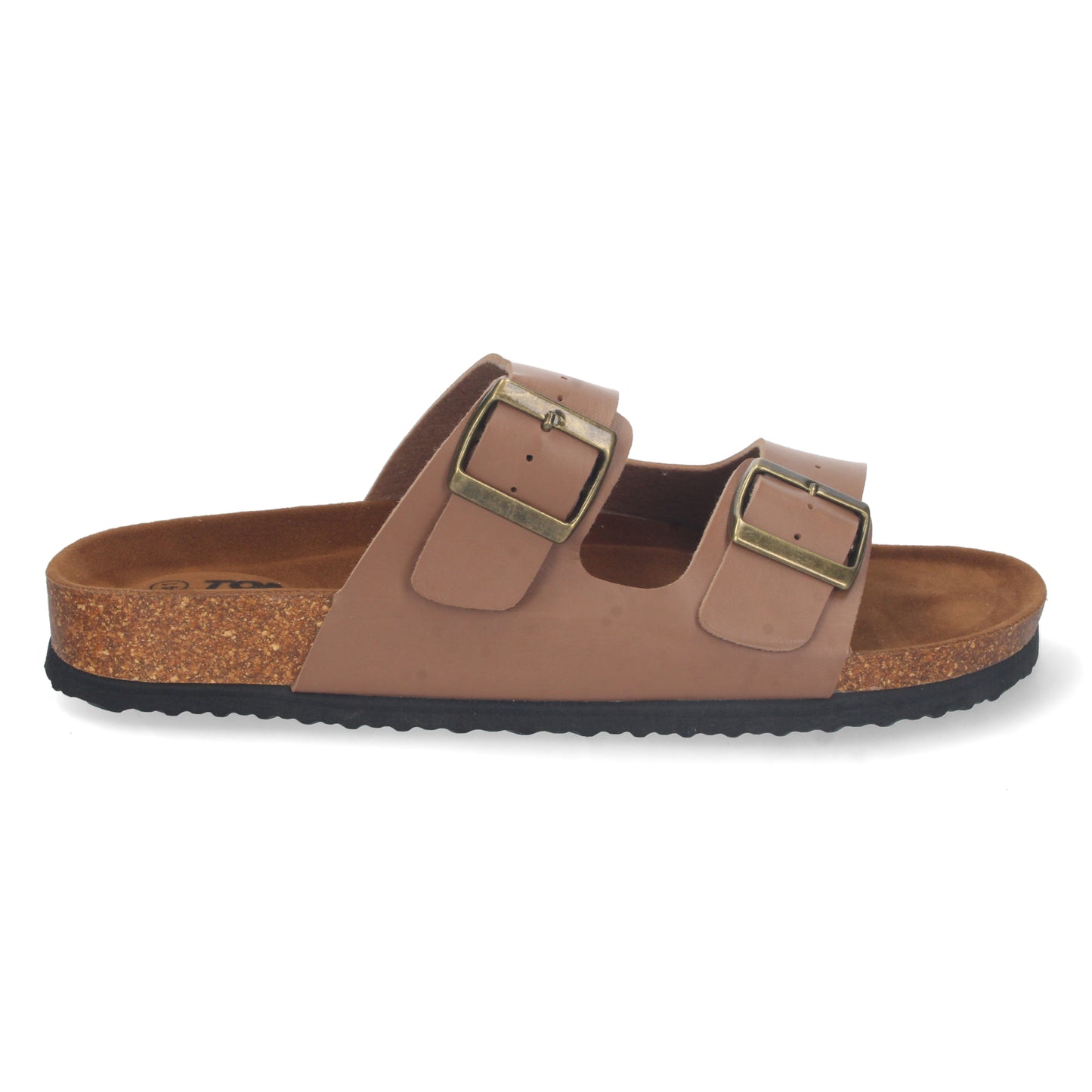SURF Camel