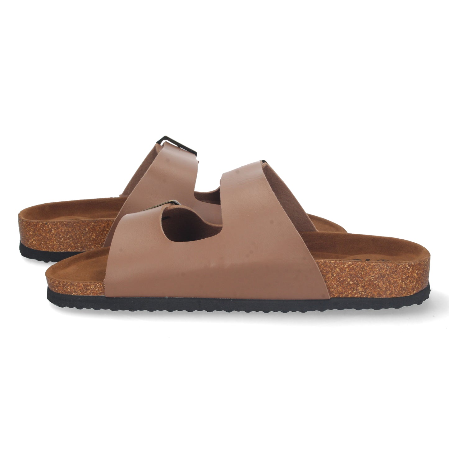 SURF Camel