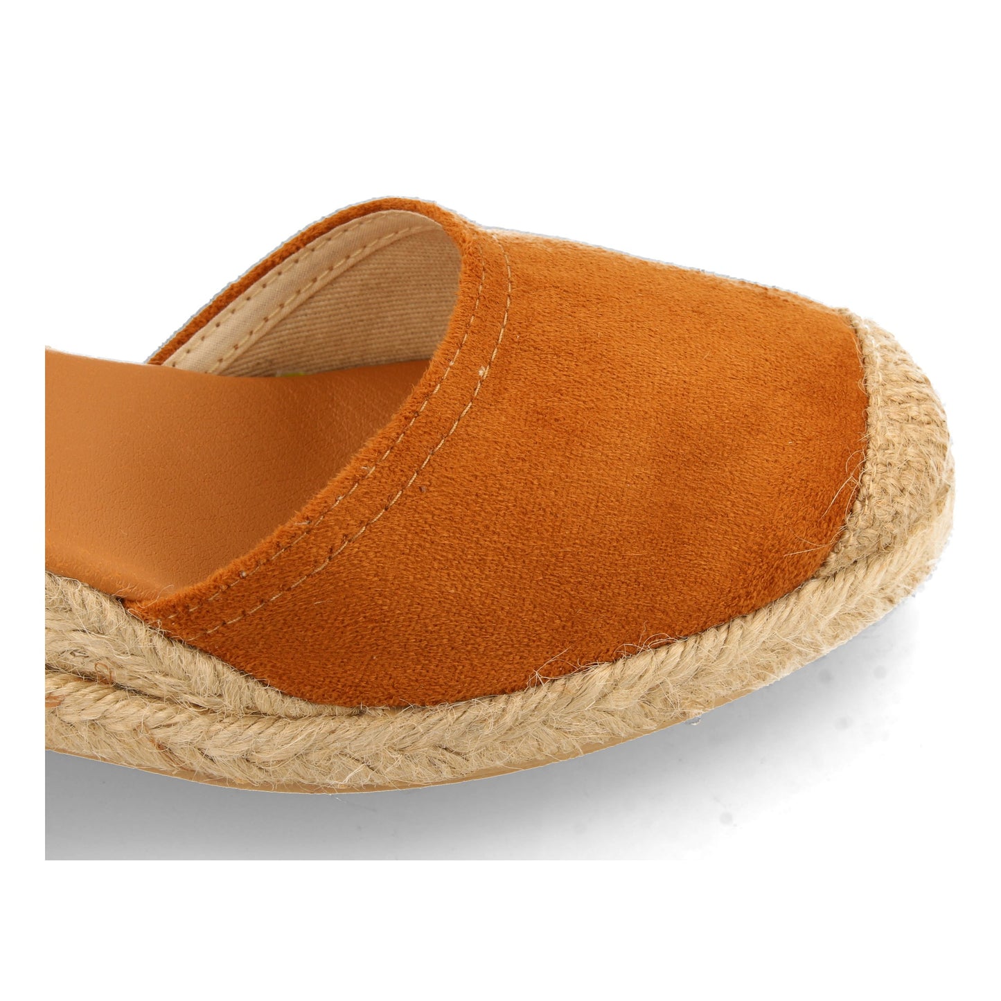 IRIS Camel