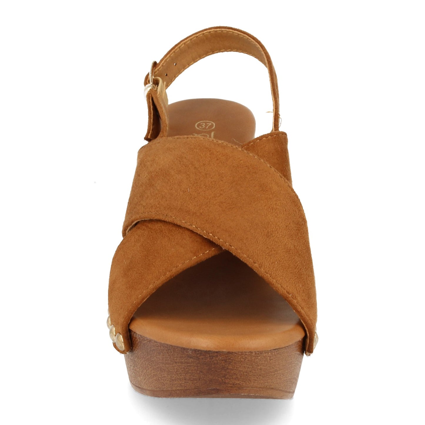 POPI Camel