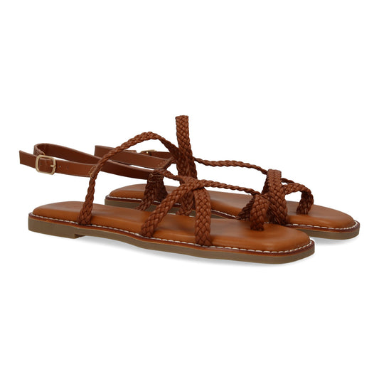 JIMENA Camel
