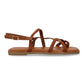 JIMENA Camel