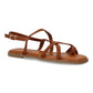 JIMENA Camel