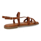 JIMENA Camel