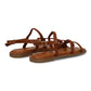 JIMENA Camel