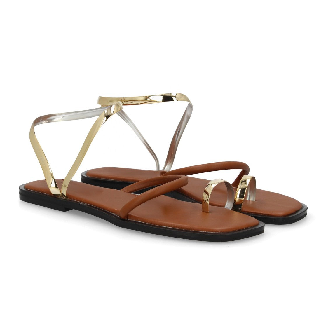 PINA Camel