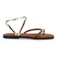 PINA Camel