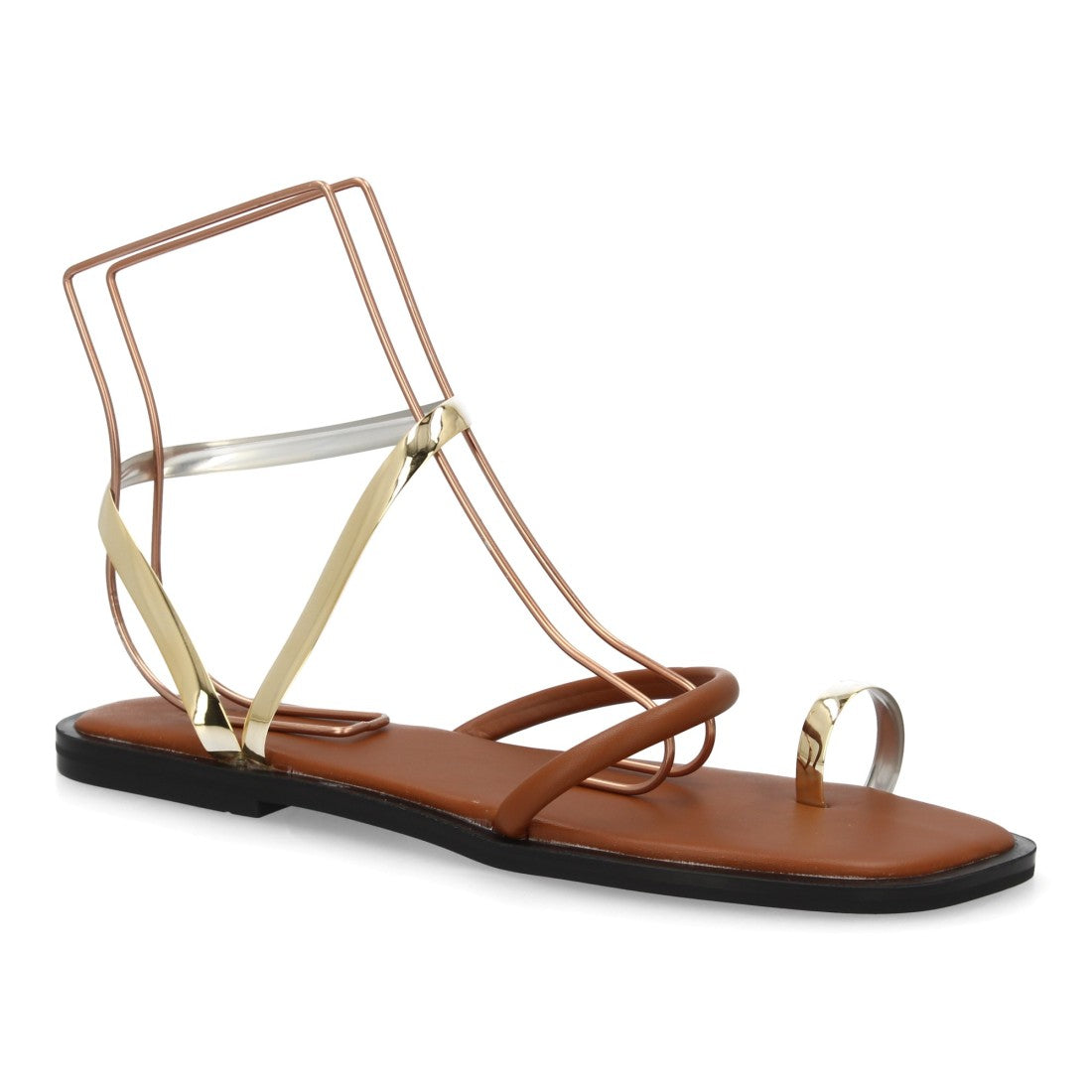 PINA Camel