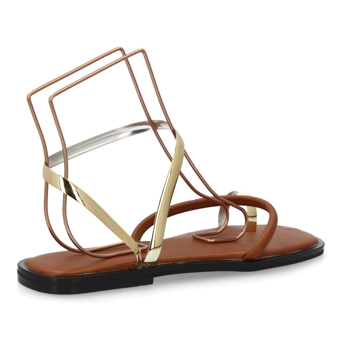 PINA Camel