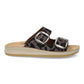6570-Negro