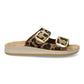 MIRTO