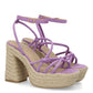 POINTER Lila