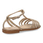 AMALTEA Kaki