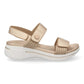TREND Champan