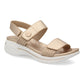 TREND Champan