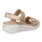 TREND Champan