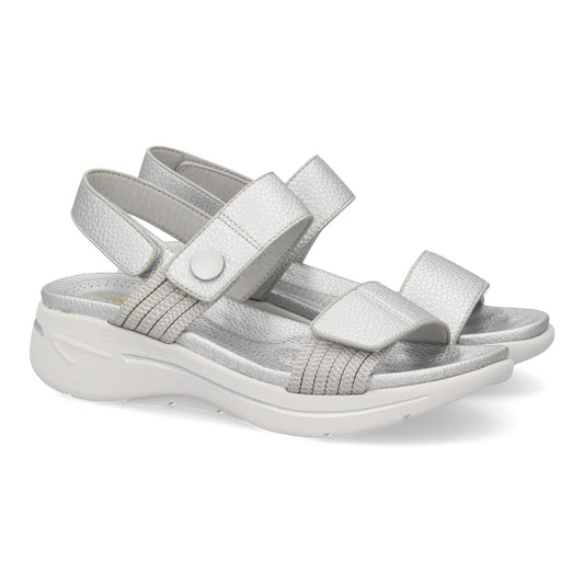 TREND Plata