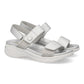TREND Plata