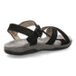 AMPUR Negro