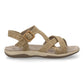 AMPUR Taupe